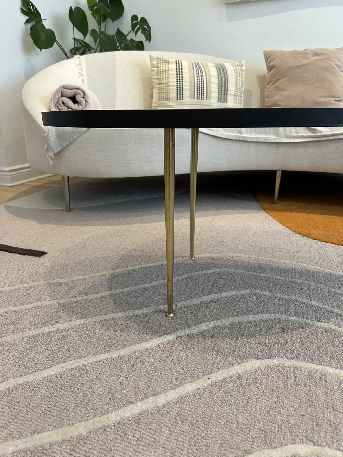 Hiran Kidney Shaped Black Iron Coffee Table - photo 4