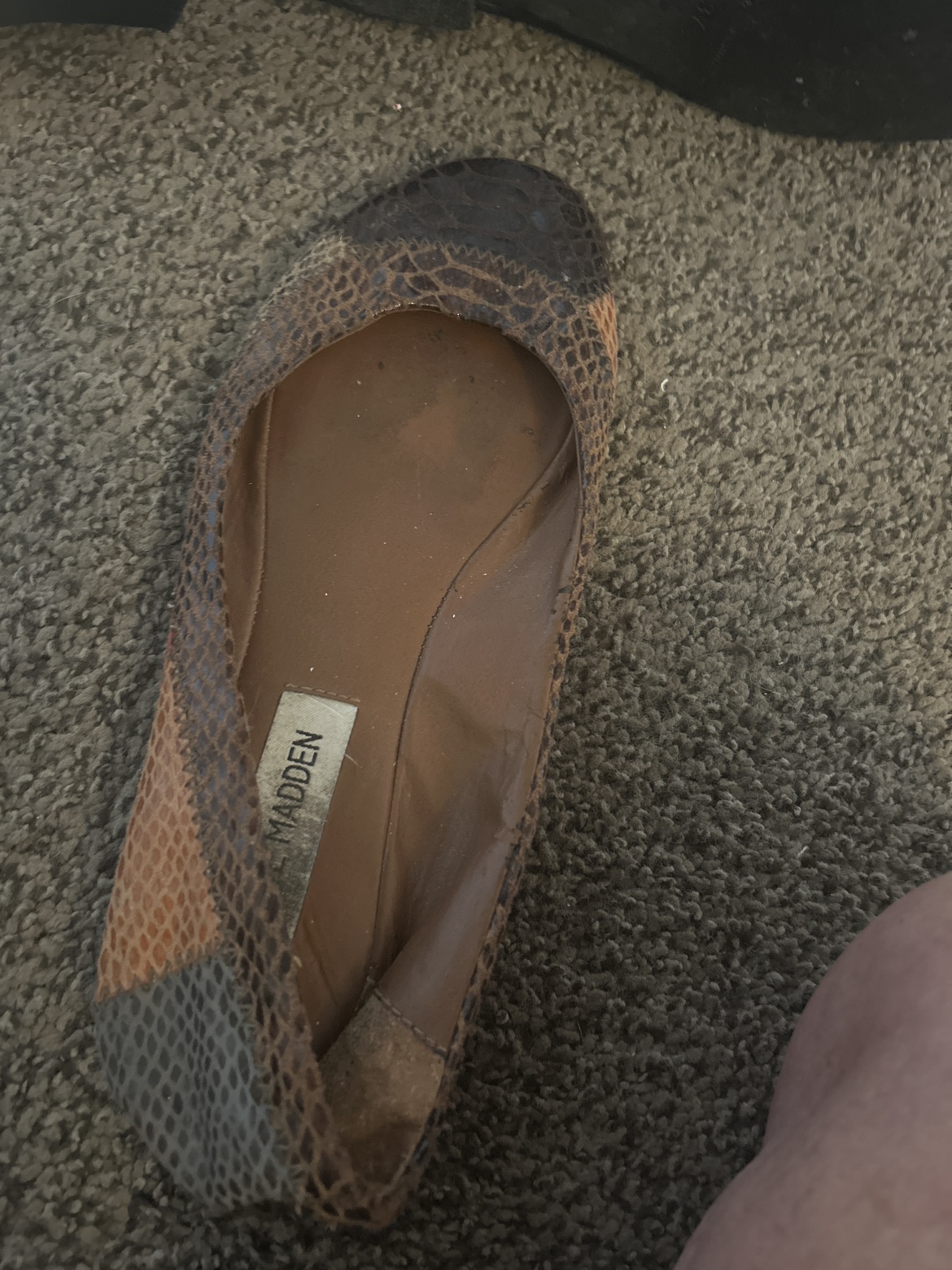 Shoe thumbnail