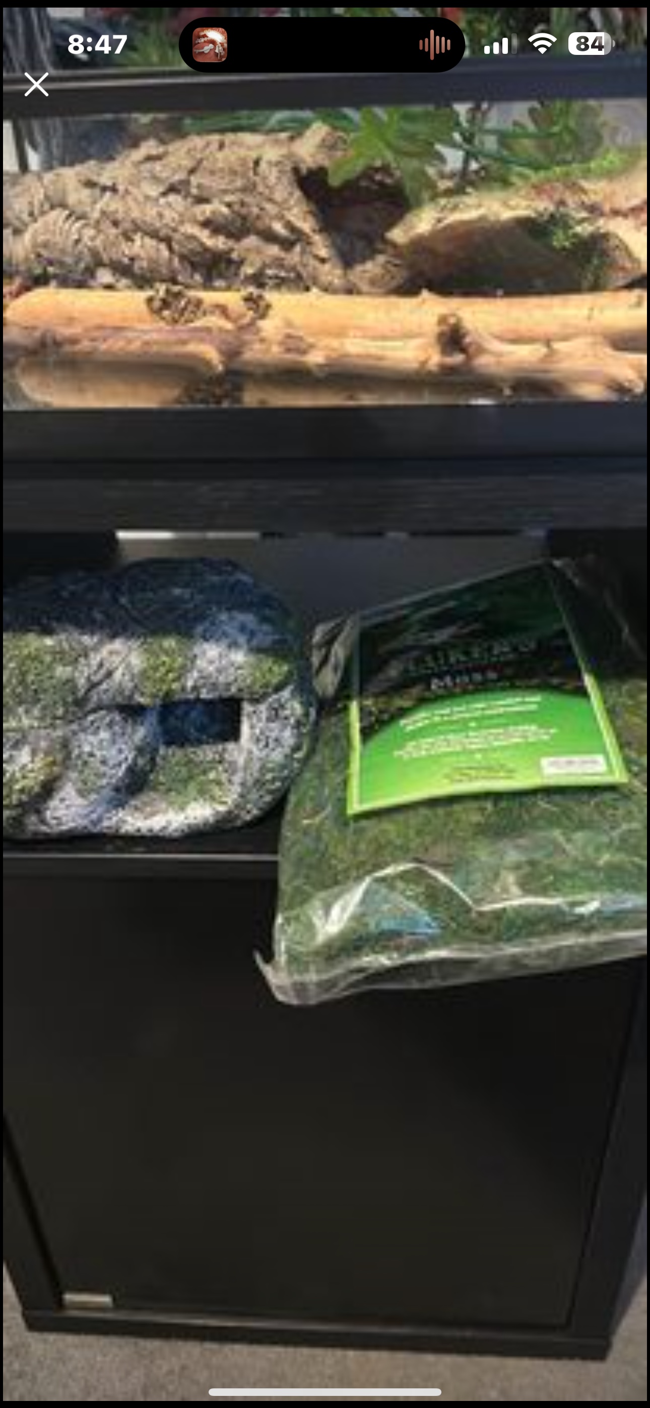 Tall terrarium image indicator(4)