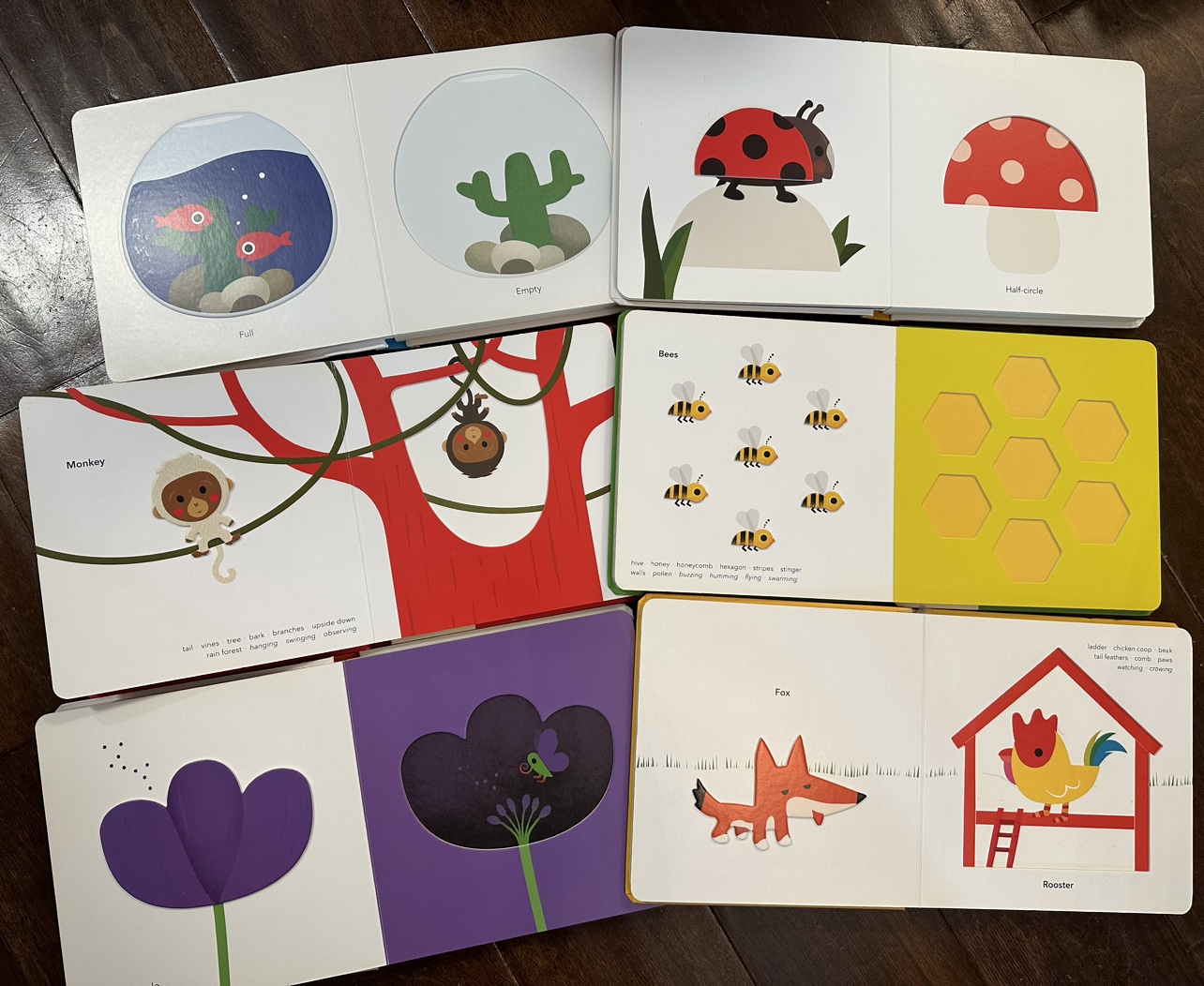 Lot of 6 Xavier Deneux toddler’s board books image indicator(4)