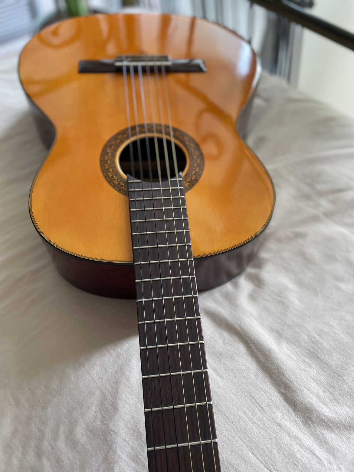 Acoustic Guitar + Carrying Case - photo 3