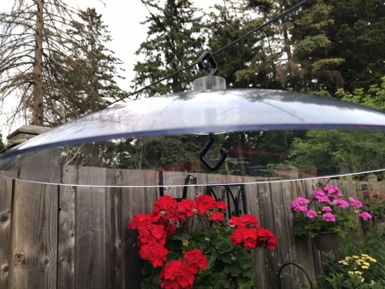 Large bird feeder weather guard