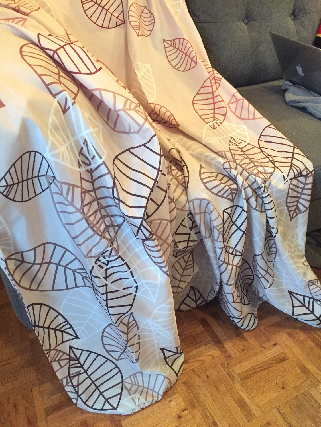 Shower Curtain with rings
