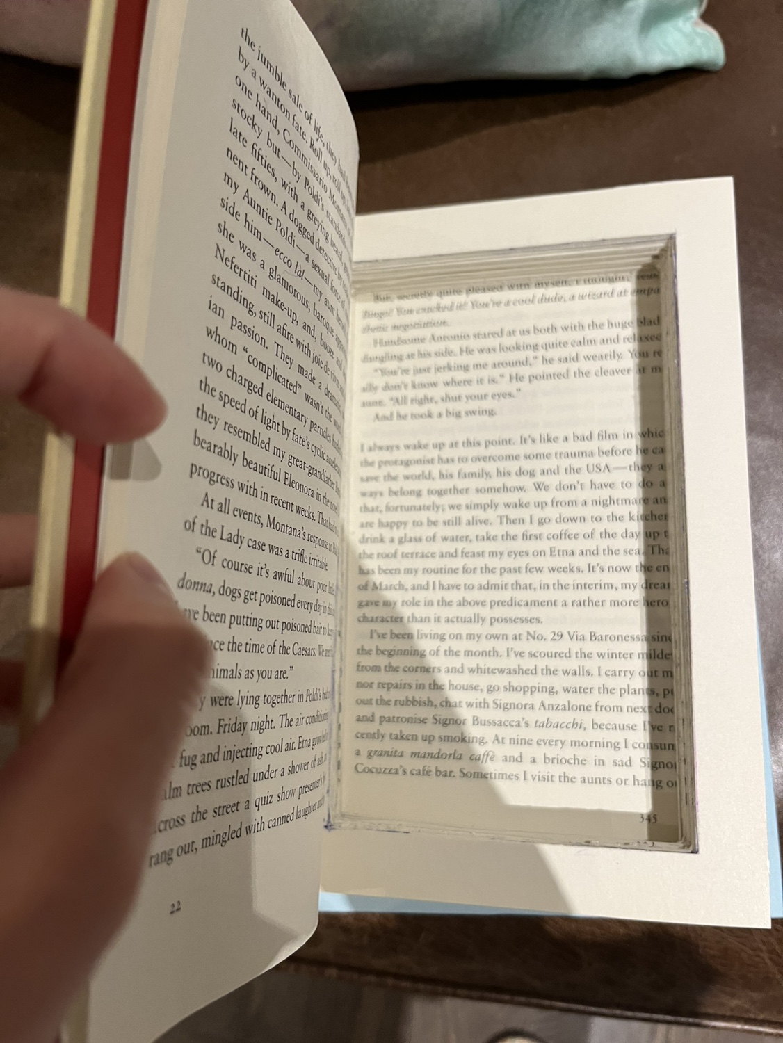 Set of 3 aesthetic hollow staging/diversion safe books! image indicator(5)