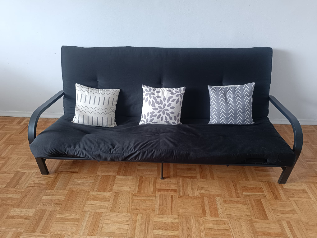 Sofa (Converts into a Bed)