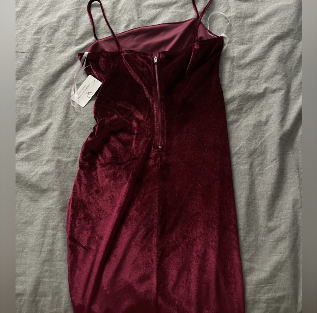 NWT Red Velvet Dress by Windsor (medium) image indicator(4)