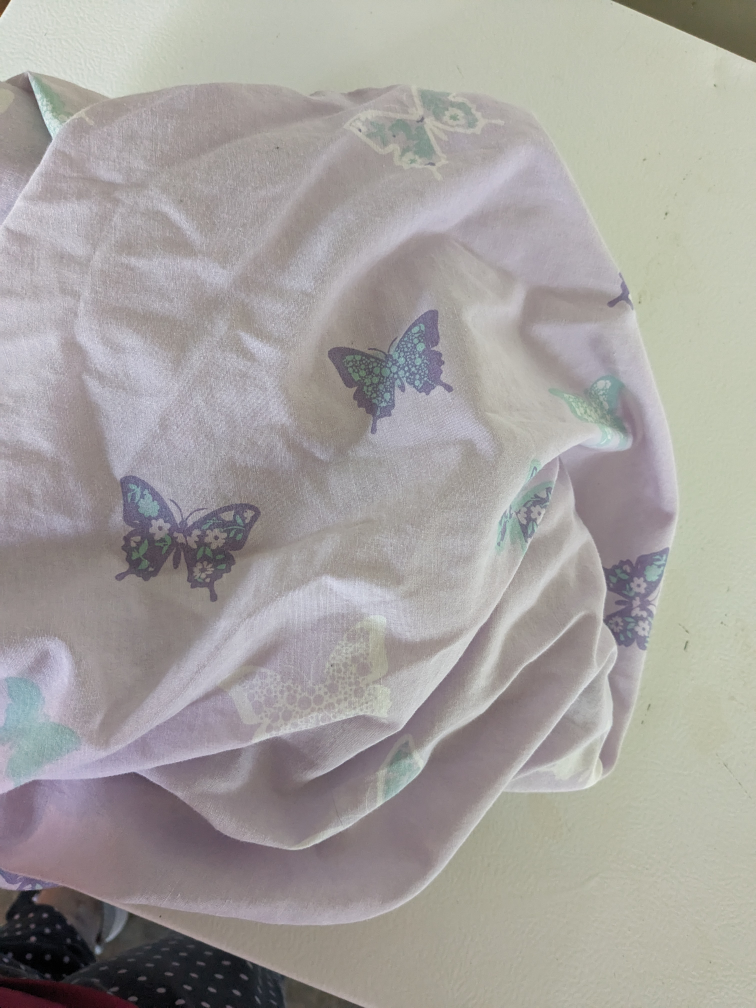 single   bed butterfly sheets