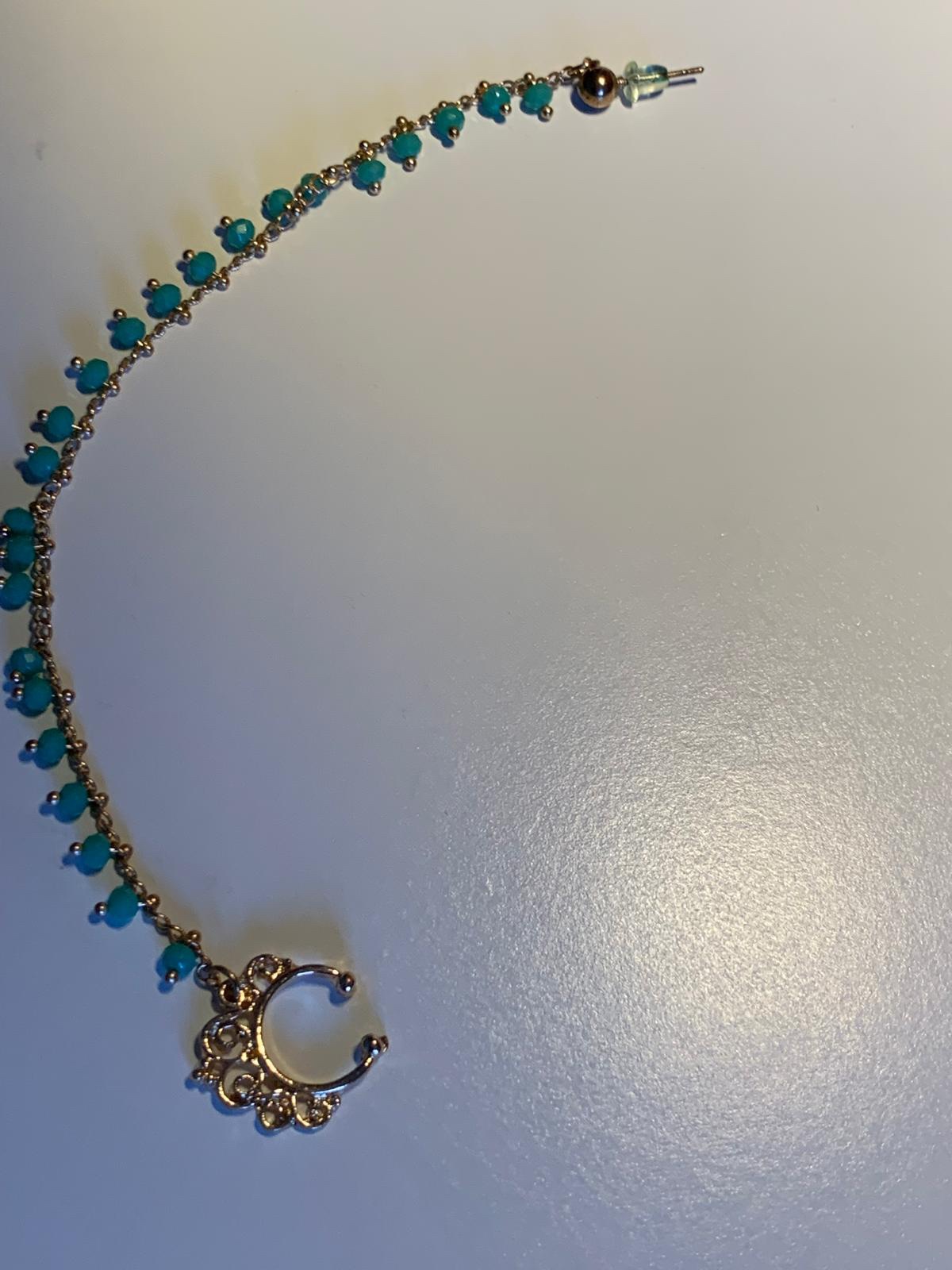 Blue nose ring image indicator(2)