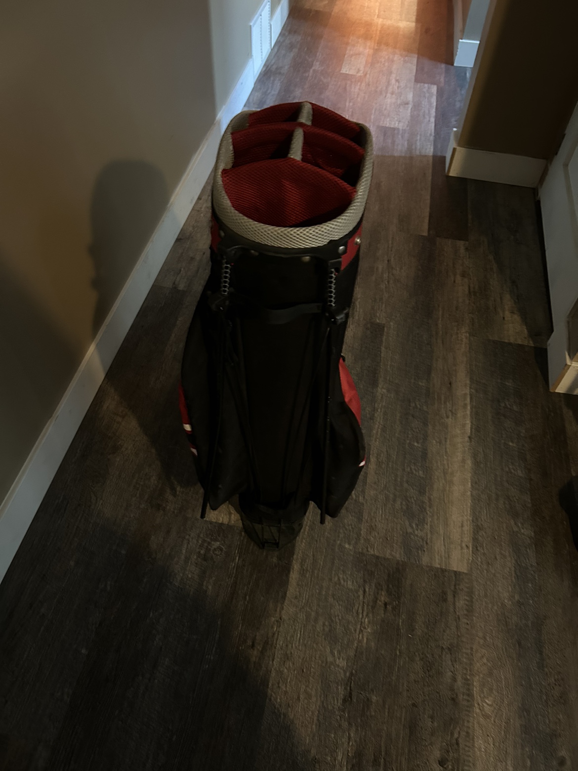 Intech ZRX golf bag - photo 4