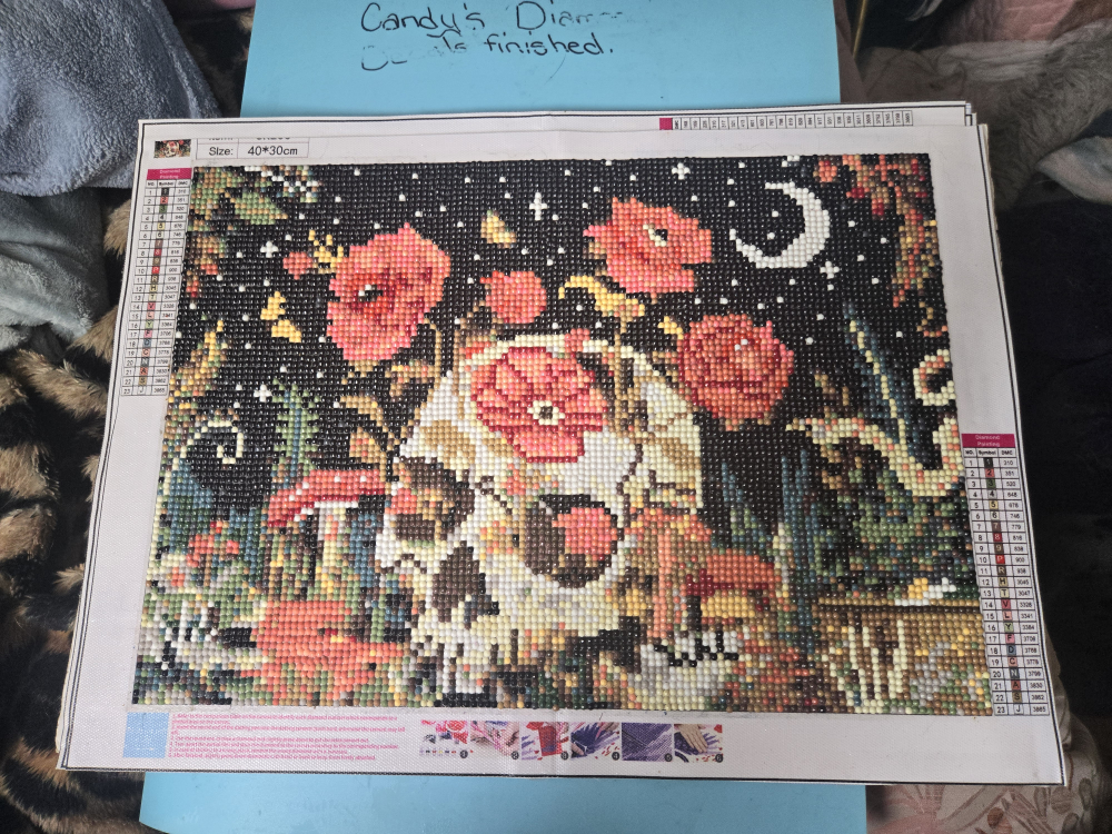 3 skull diamond paintings image indicator(2)