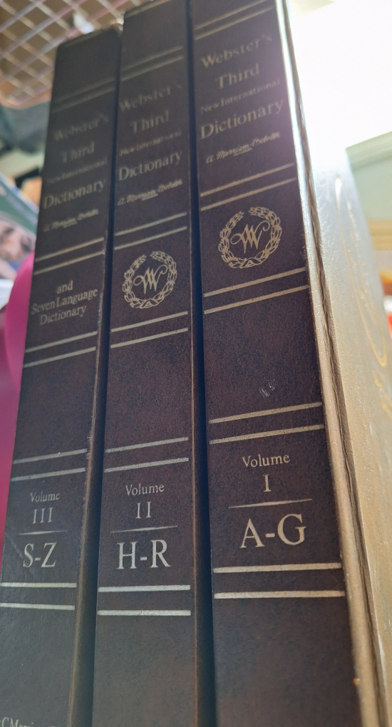 Webster's 7 Language Dictionary Set 🧡 (Kit Cat Club) image indicator(2)