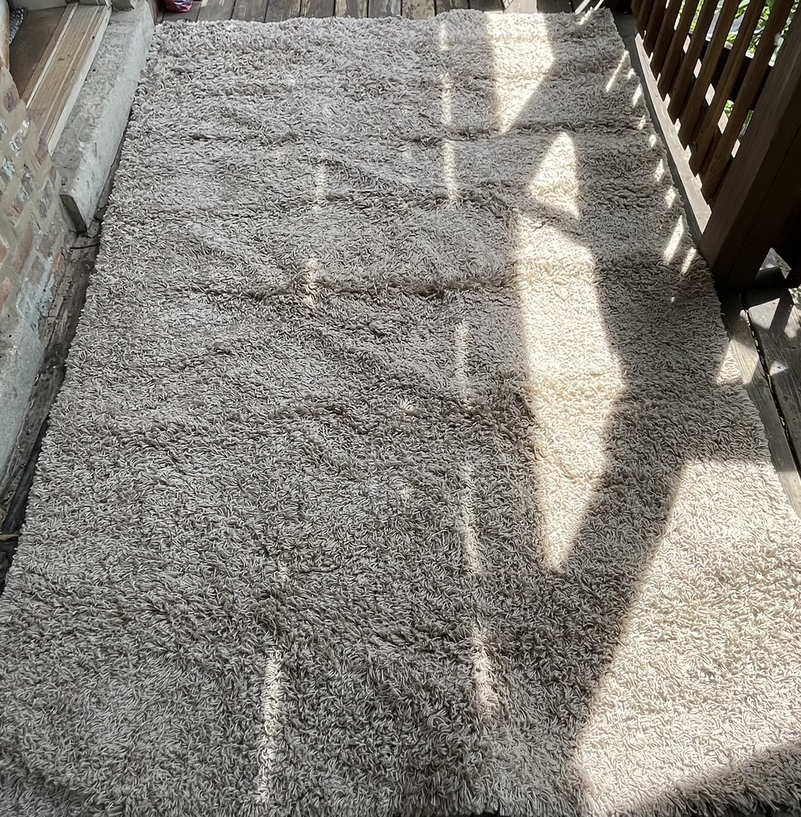 Large Area Rug