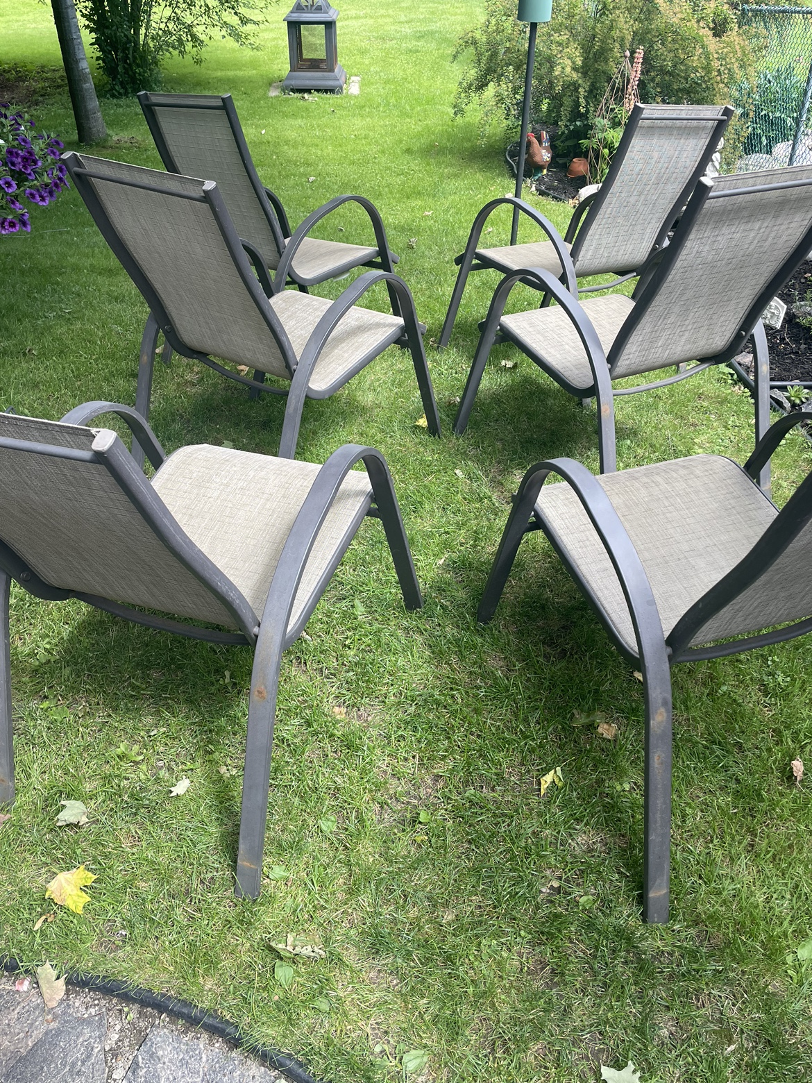 Patio Dining Chairs - 6 - photo 3