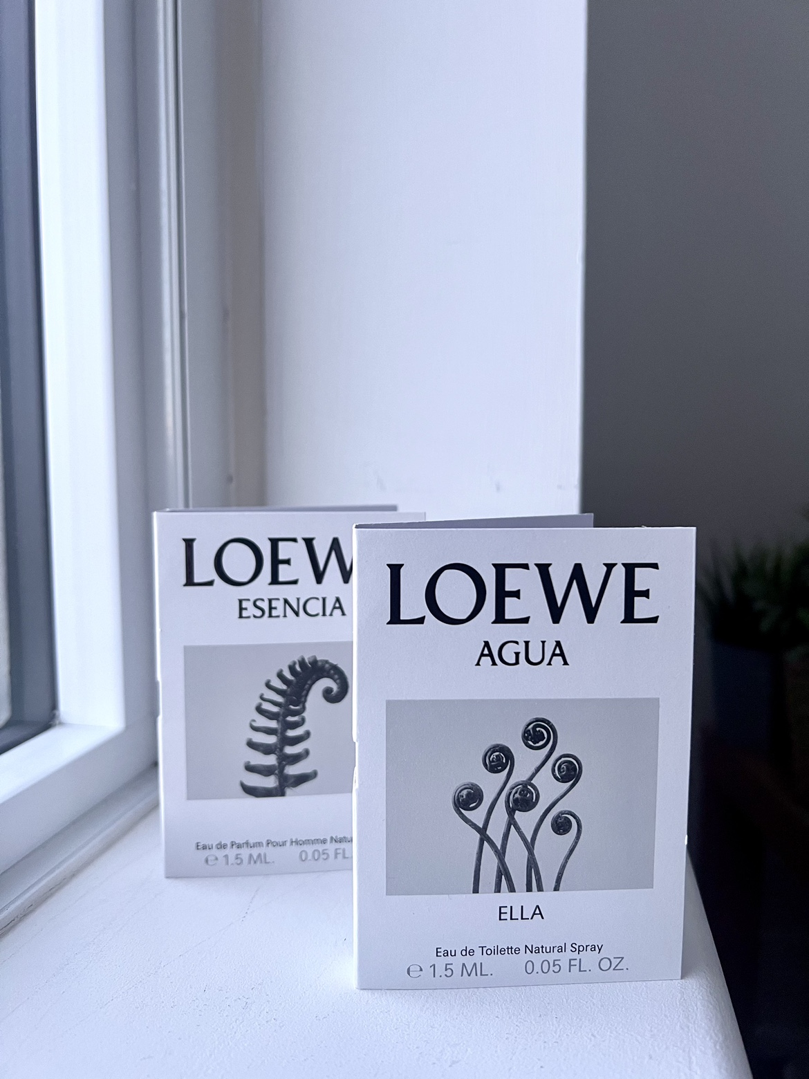 Loewe Agua Ella EDT 🪷 image indicator(2)