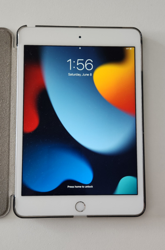 ipad mini 4 128gb with case