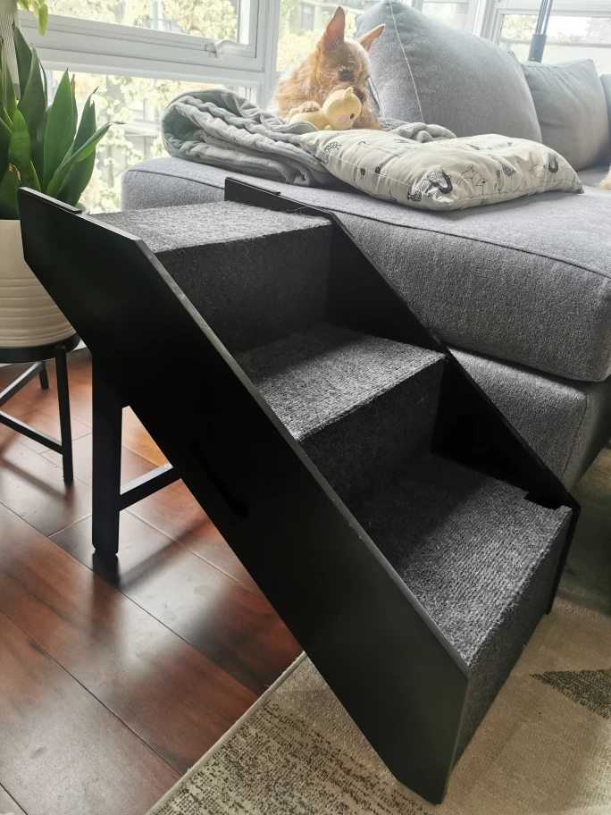 Dog stairs