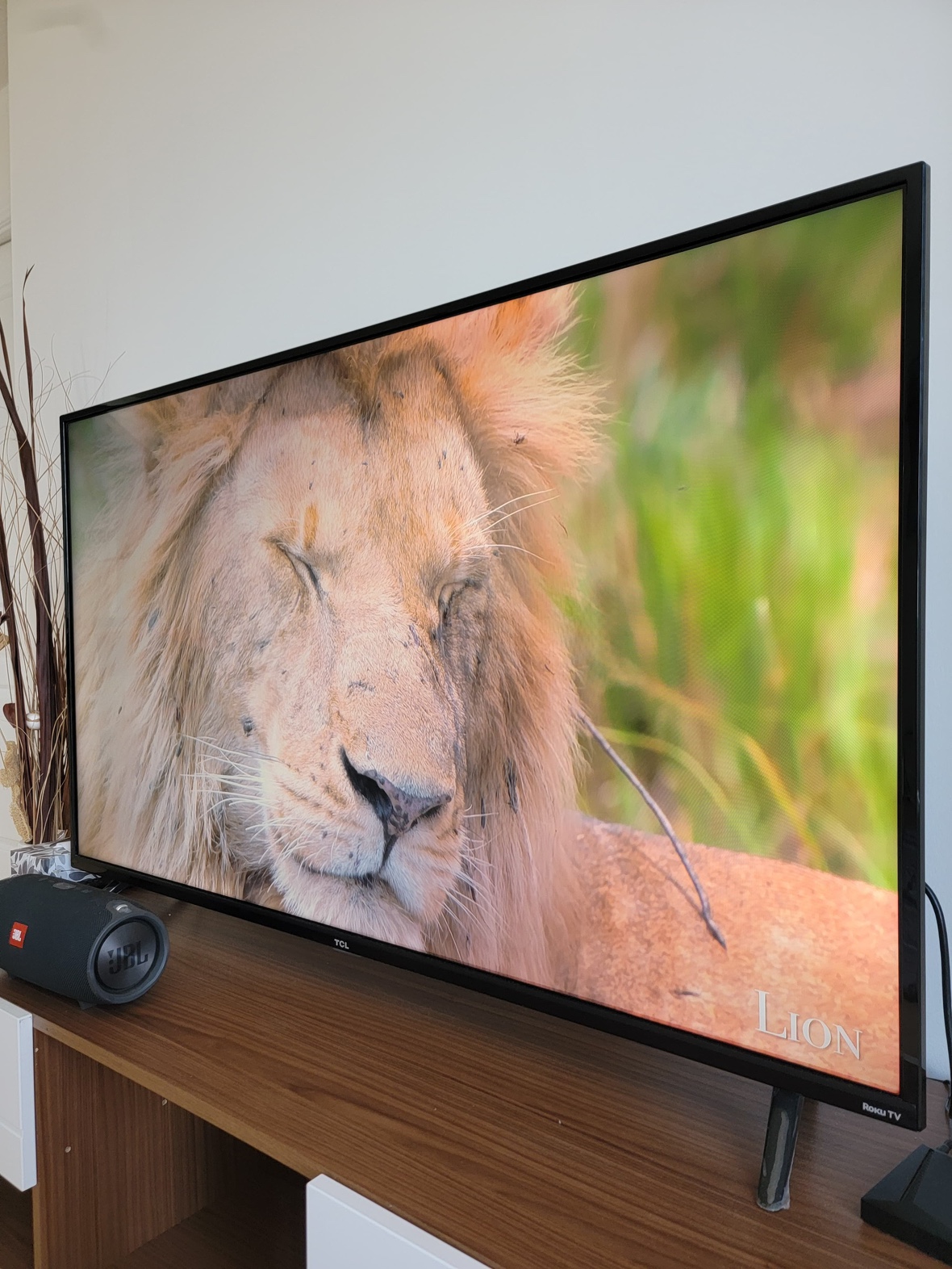 TCL - 55 inch TV