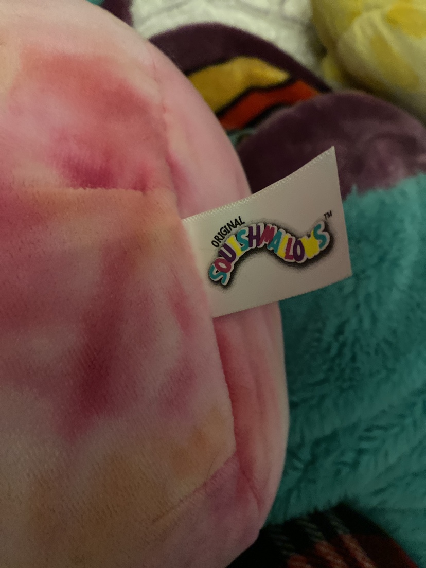 Squishmallow image indicator(3)