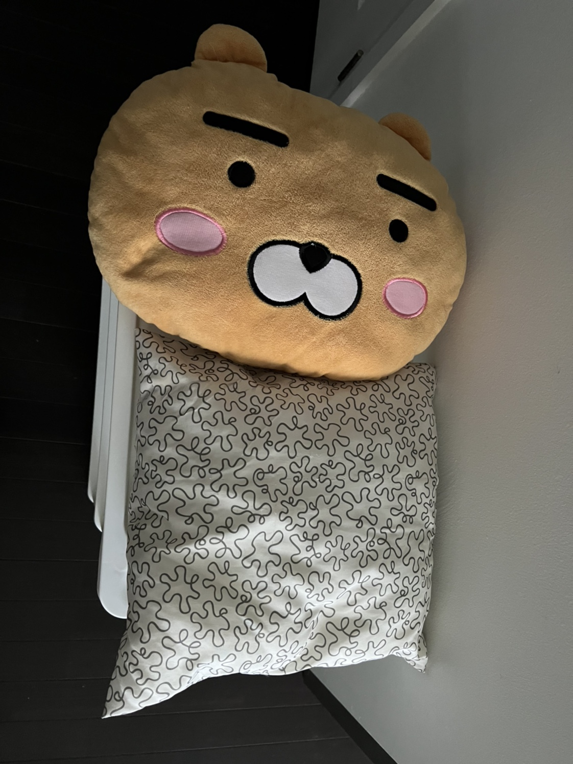 2 cushions for $10 thumbnail
