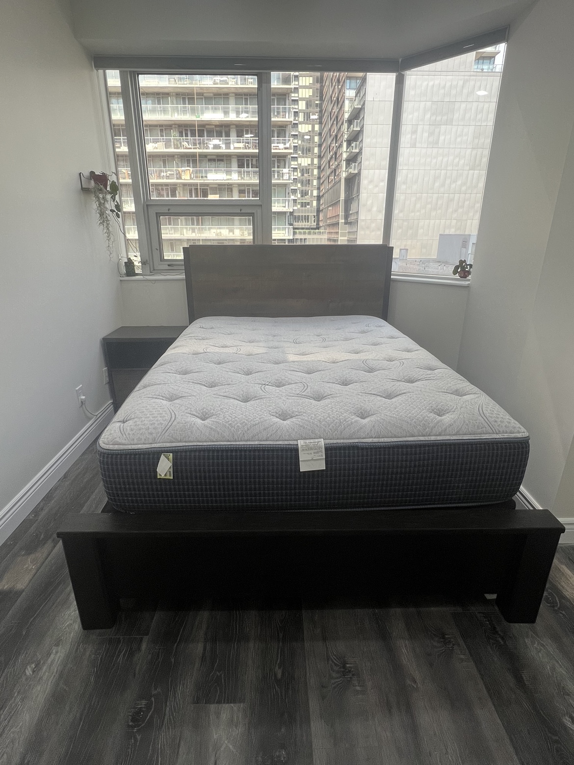 Queen size bed frame + box spring + queen mattress