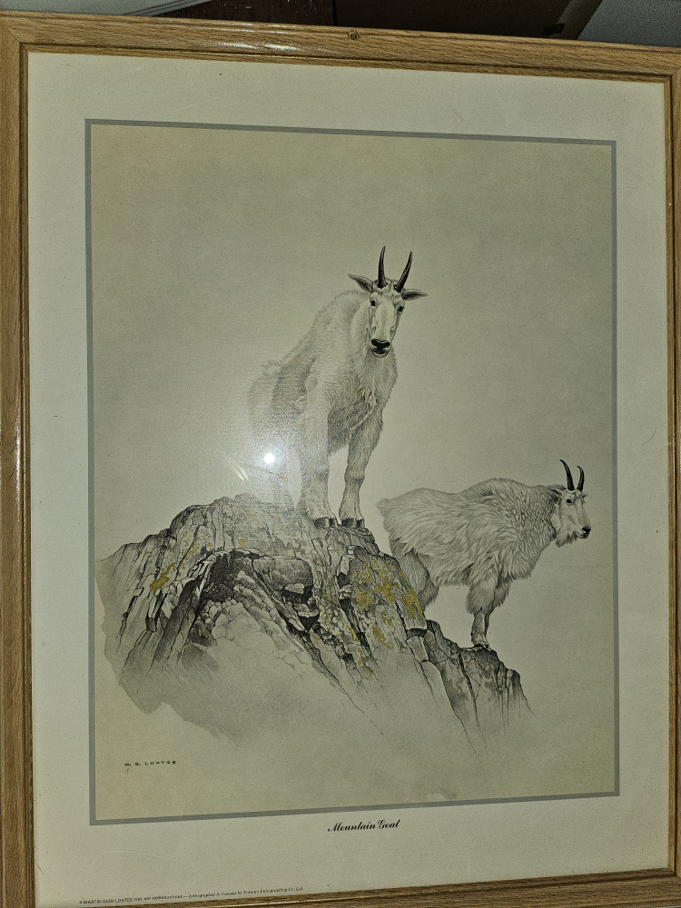 Glen Loates Vintage painted animal wall art work home decor image indicator(6)