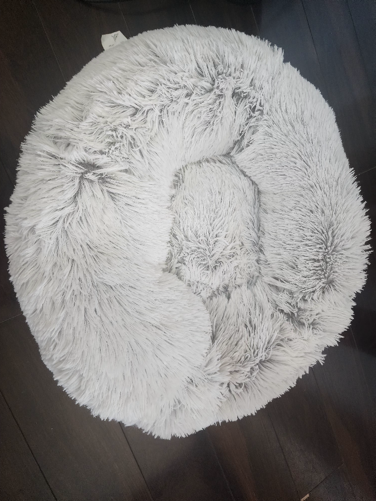cat cushion