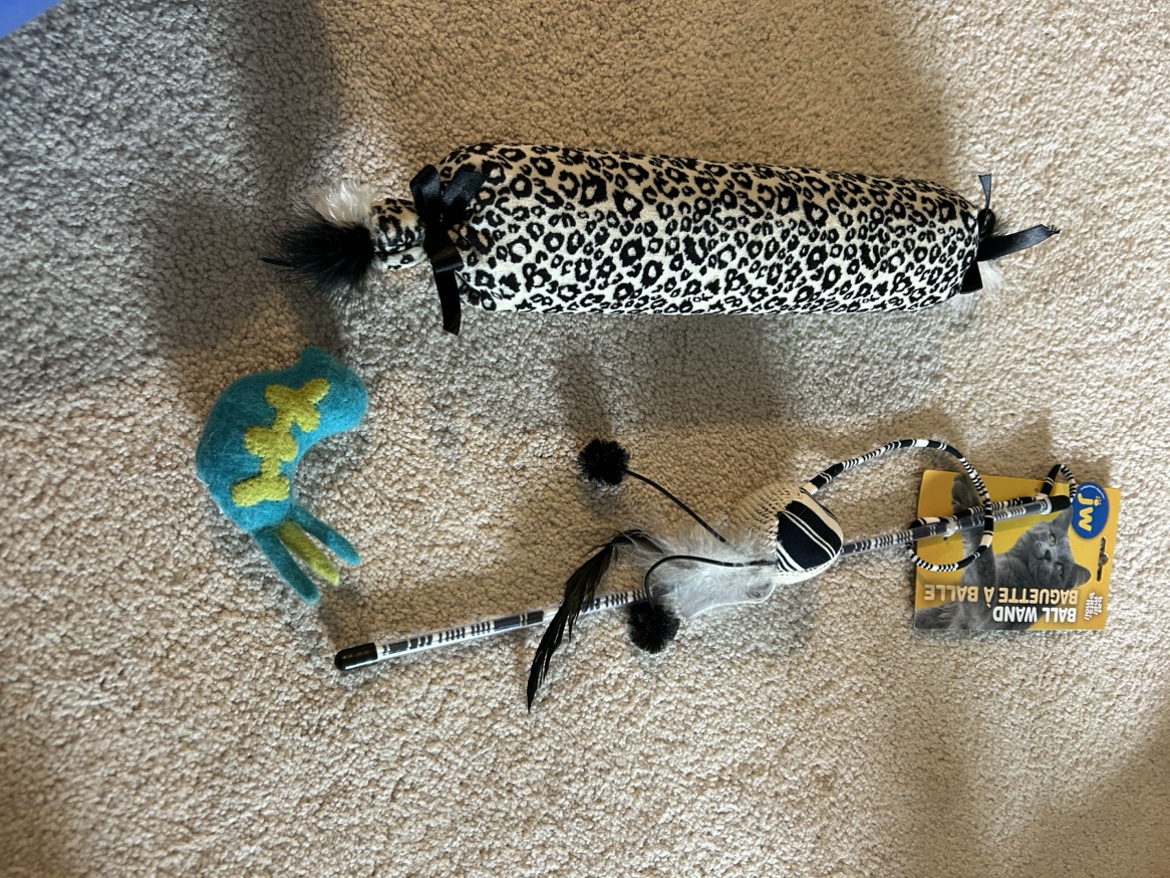 Cat toys
