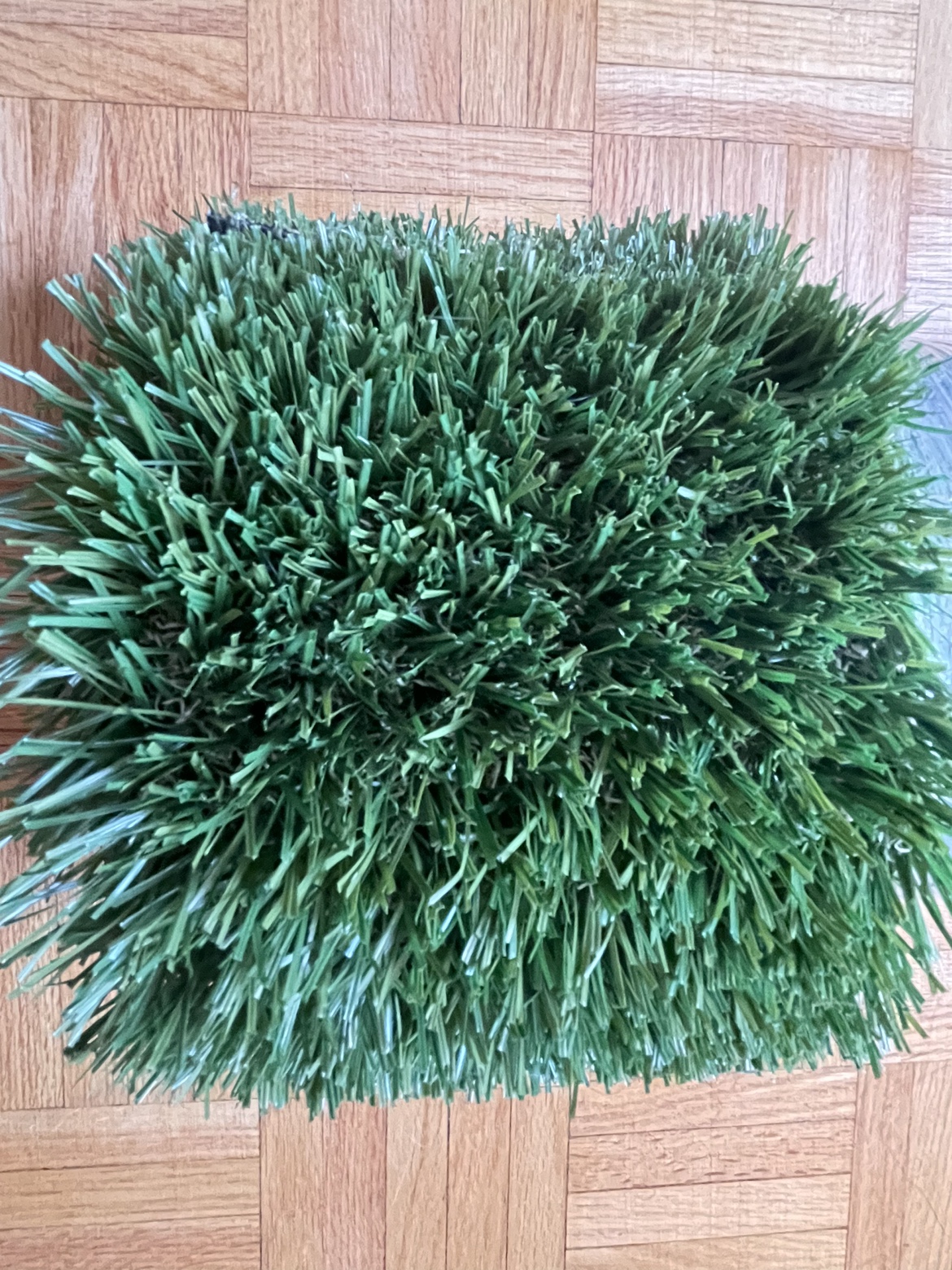 Artficial Grass