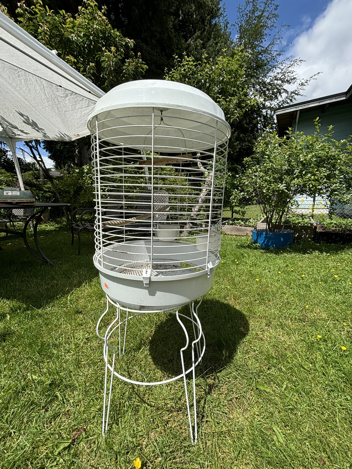 Bird Cage