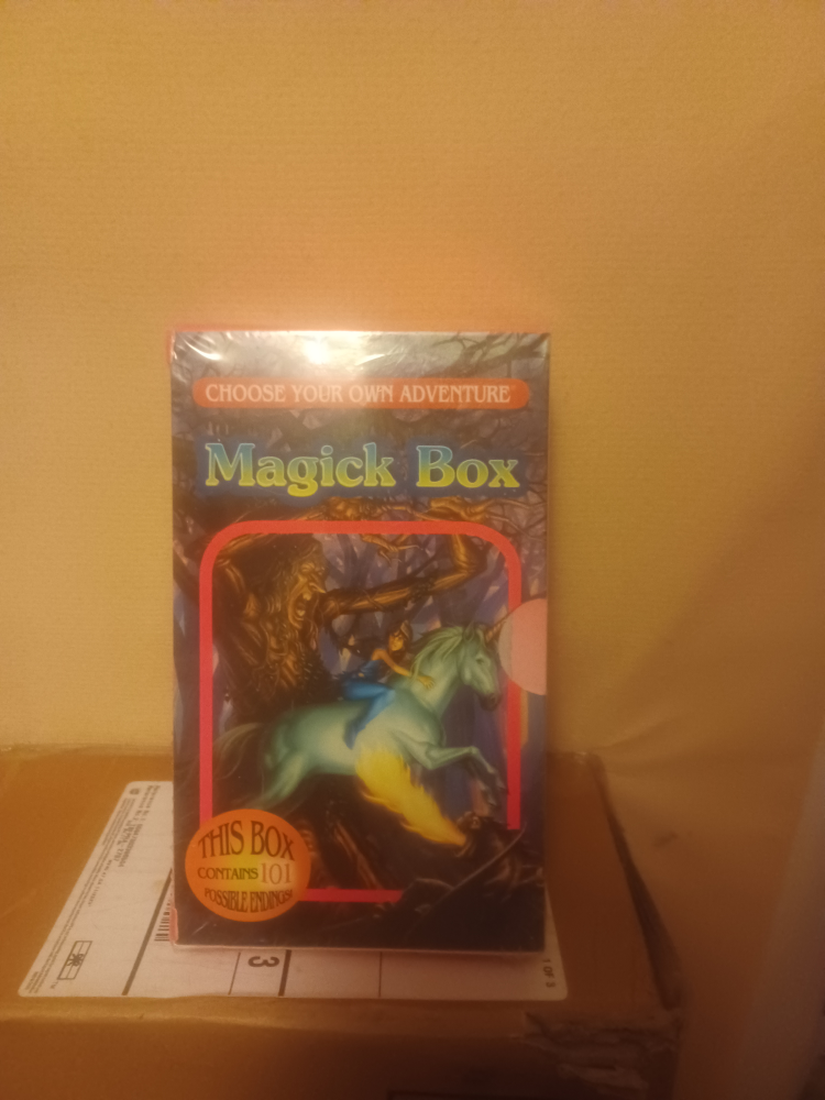 Choose Your Own Adventure Book Sets-new image indicator(6)