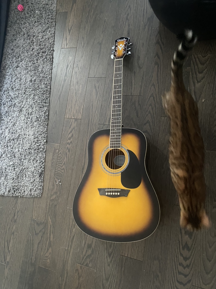 Acoustic Guitar - photo 3
