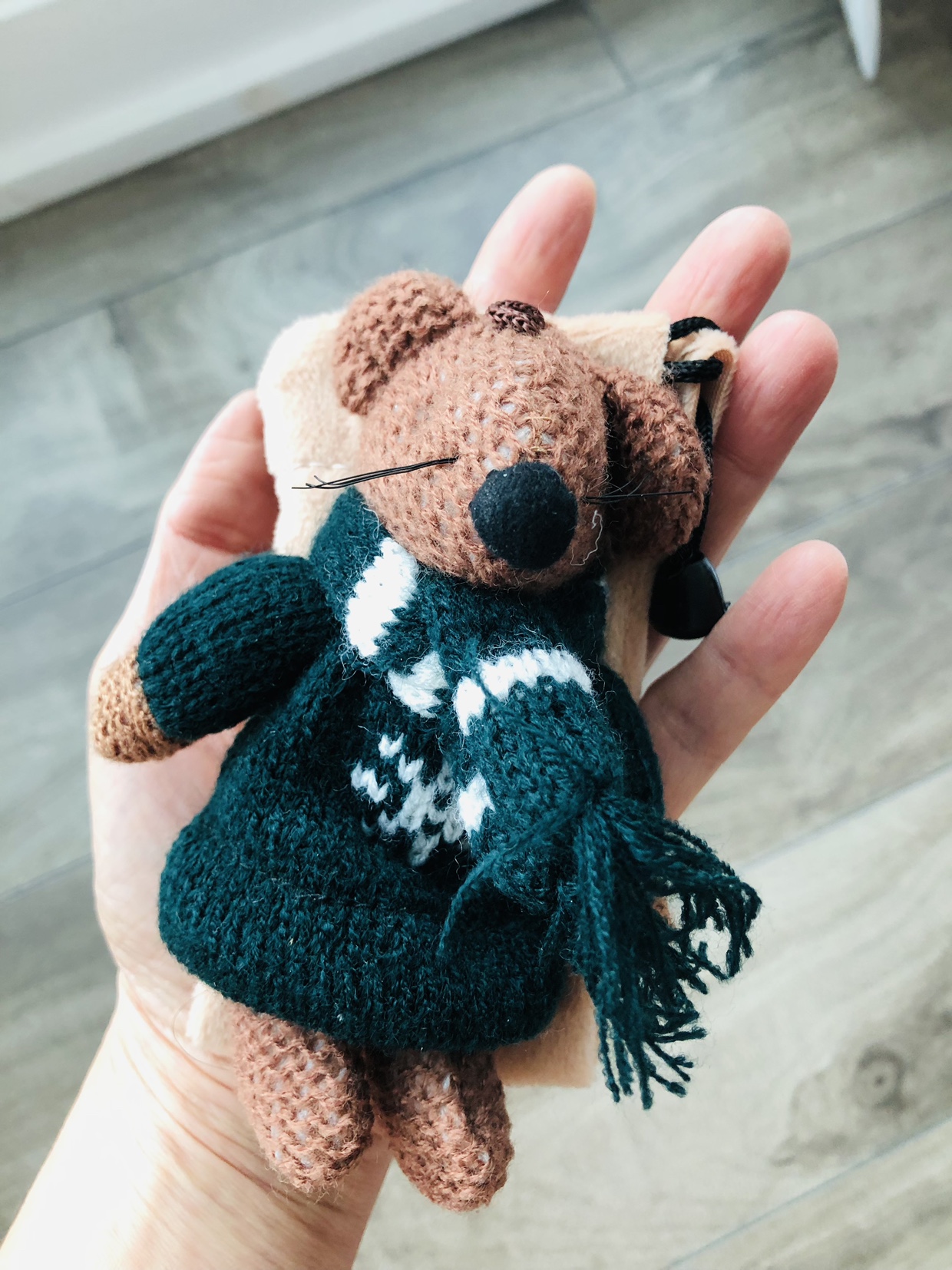 Mouse pouch image indicator(3)