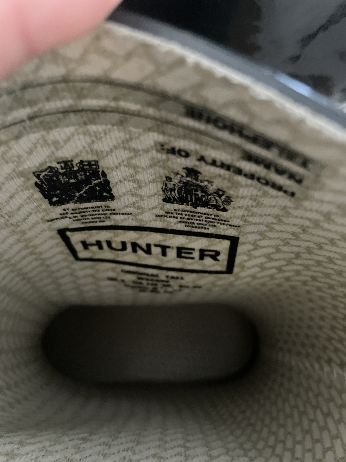 Hunter - photo 3