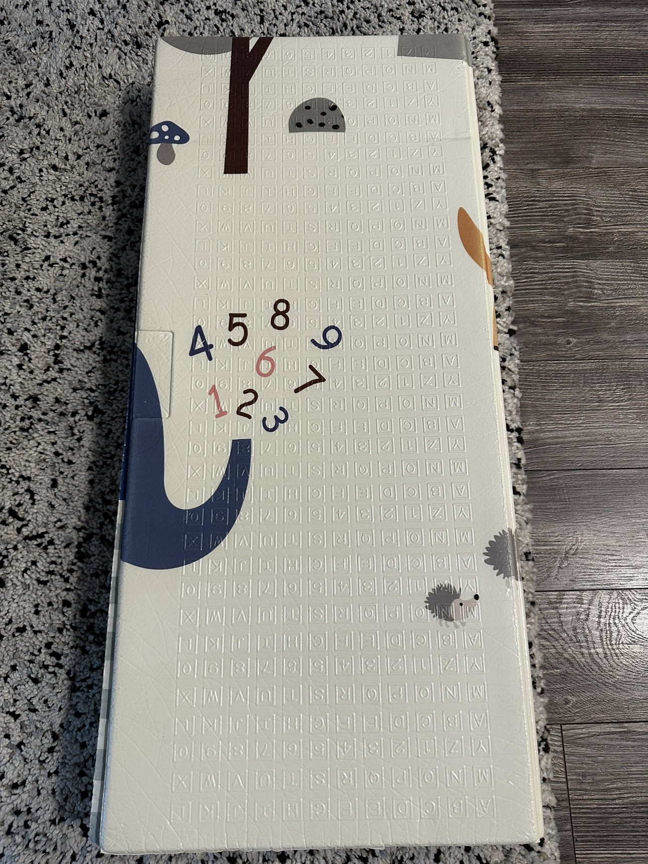 Play mat