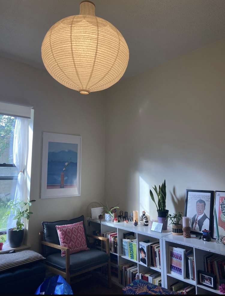 Book shelves