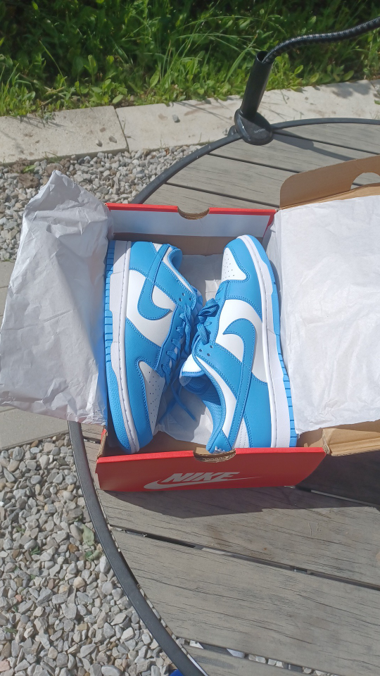 Nike dunk UNC 2021