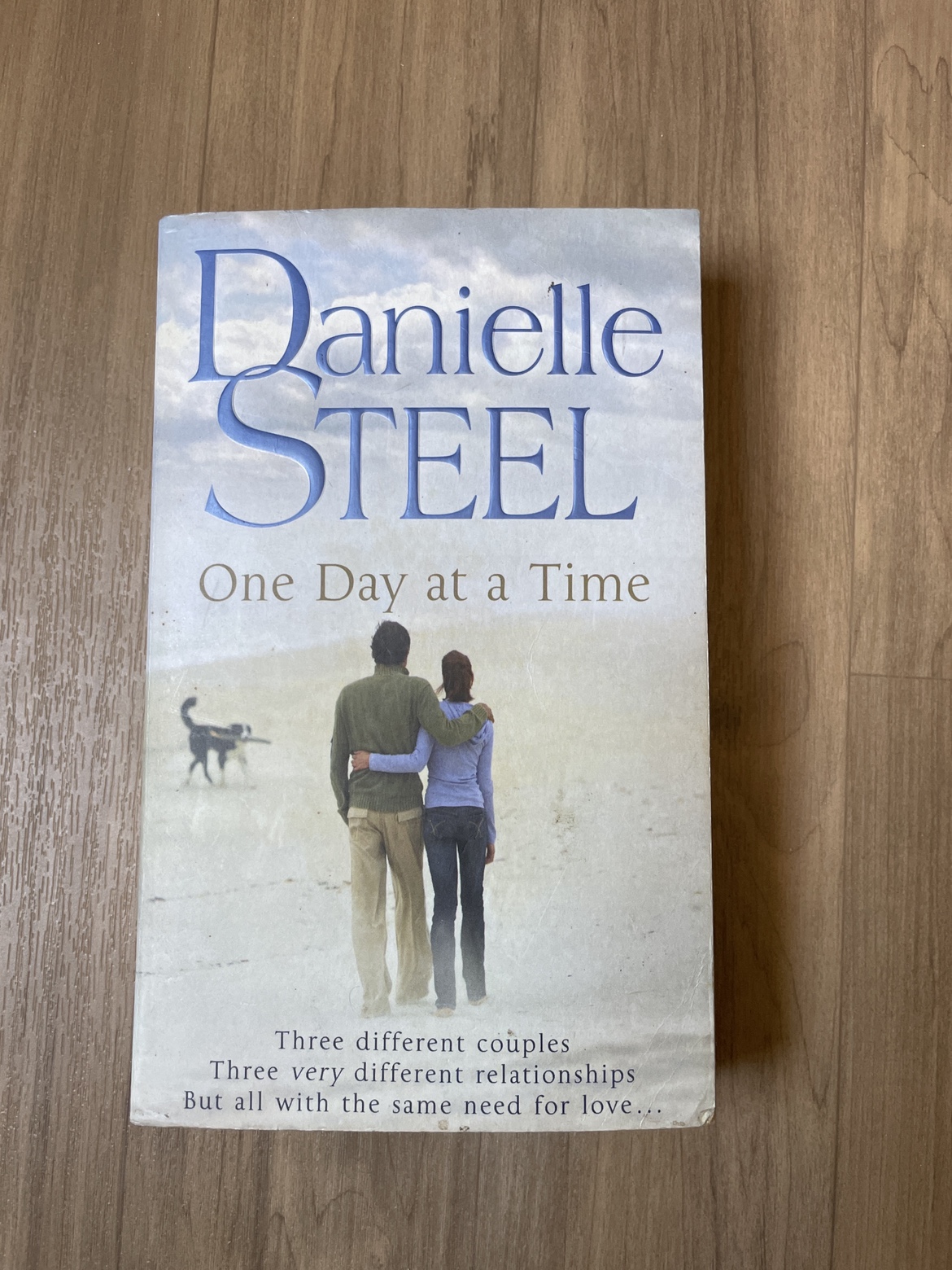Book: One Day at a Time - Danielle Steel thumbnail