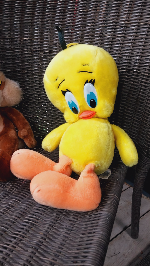 Tweety Bird needs a new hide out from Sylvester thumbnail