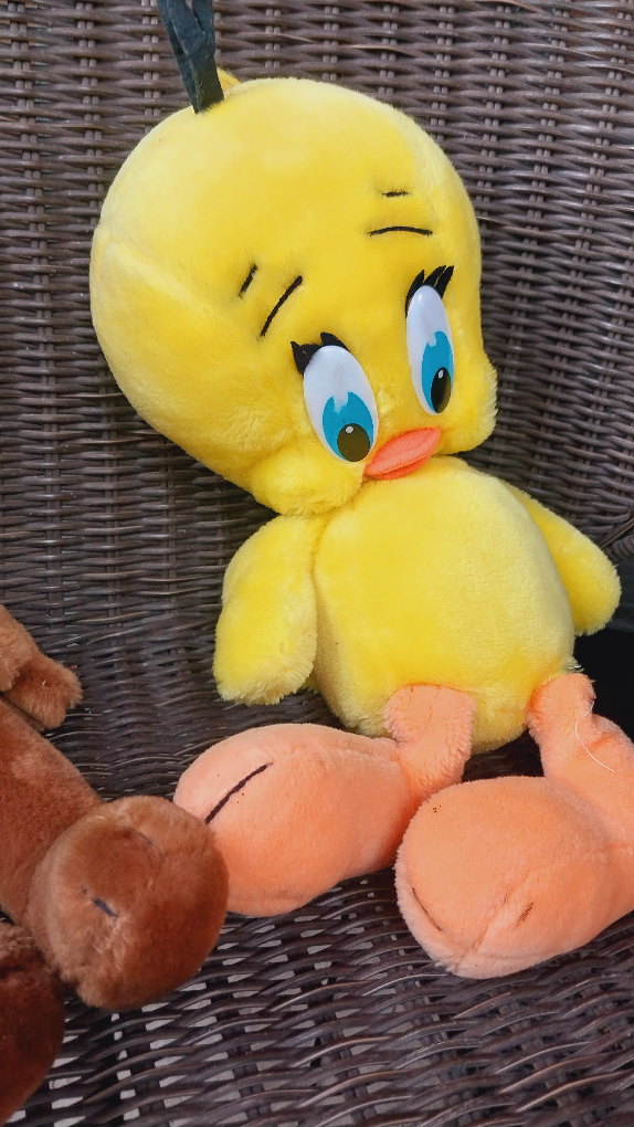 Tweety Bird needs a new hide out from Sylvester - photo 2