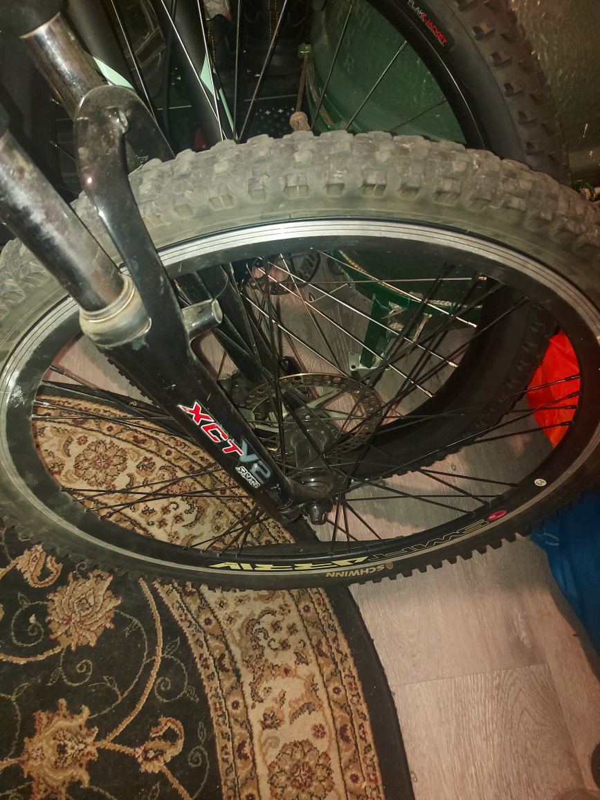 schwinn mountain bike image indicator(3)