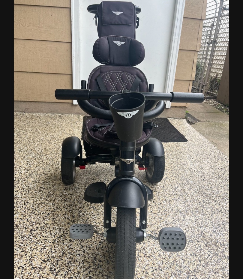THE BENTLEY 6-IN-1 STROLLER/TRIKE - photo 4