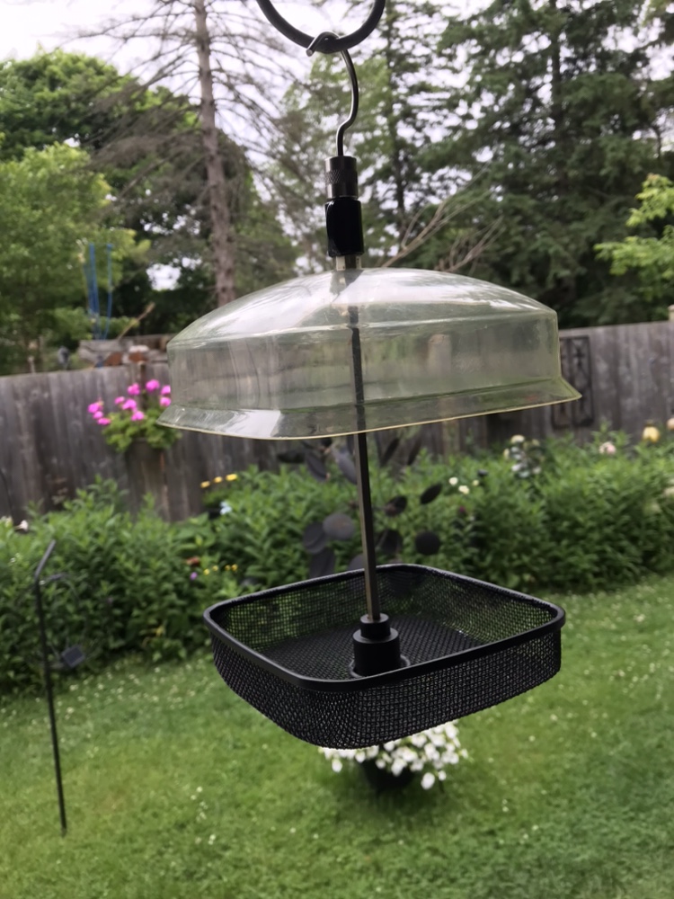 Bird Finder - photo 2