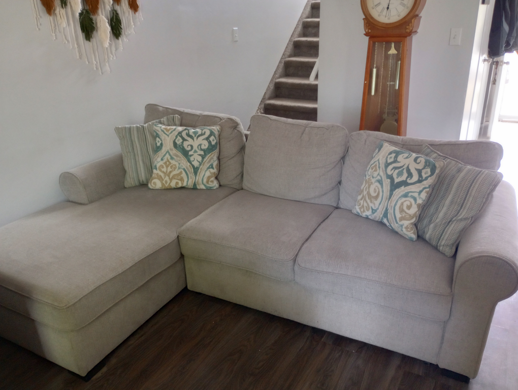 Light Gray Chaise Lounge Hide -a-bed couch, with storage