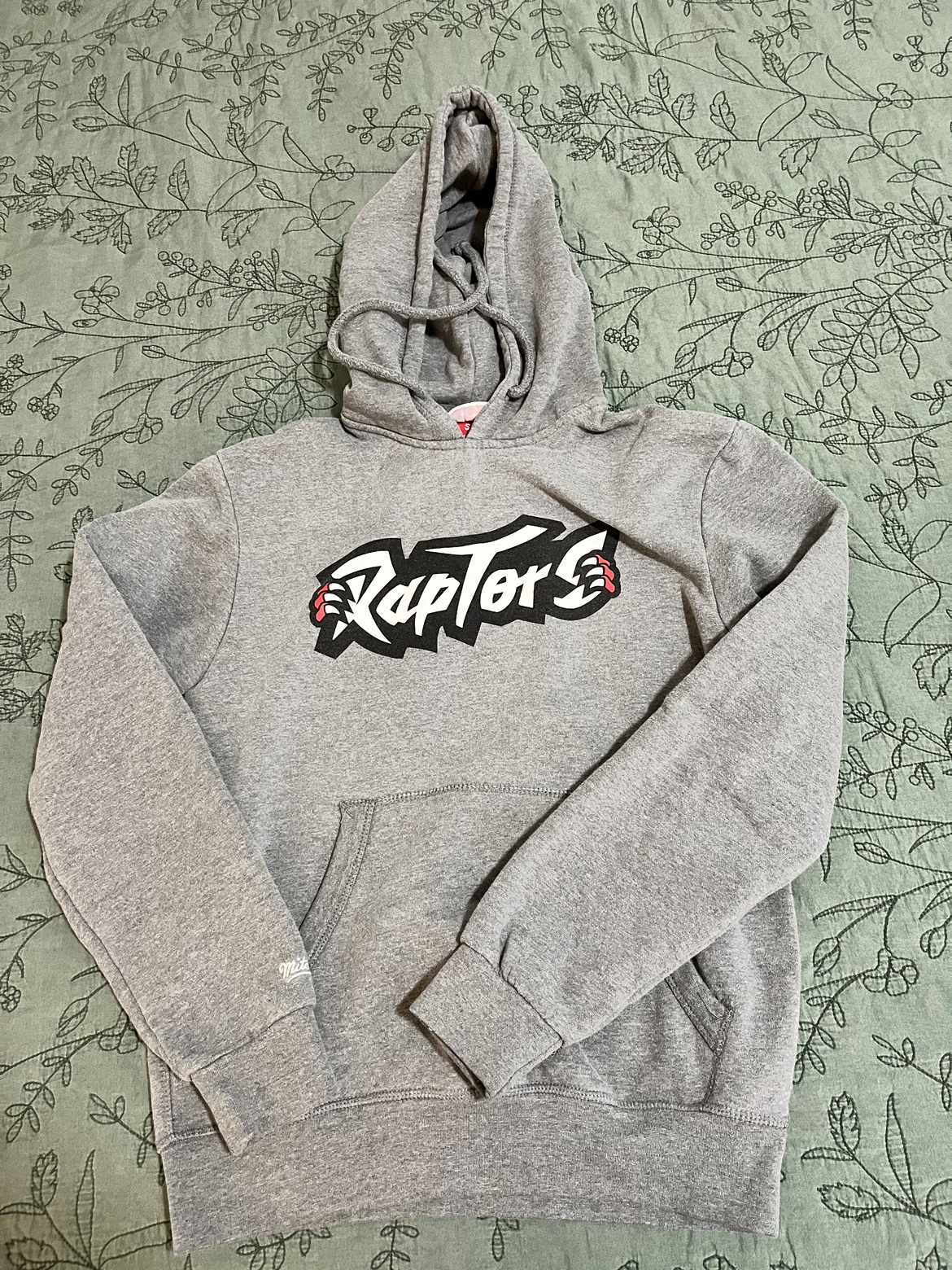 Raptors hoodie, fits 10-12 year old thumbnail
