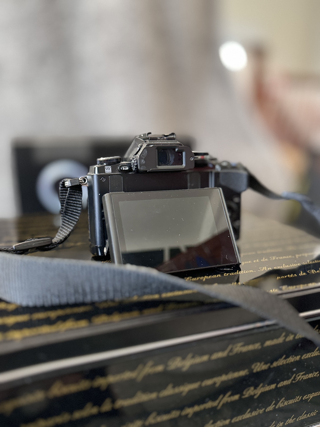 Olympus OM-D E-M10 - photo 2