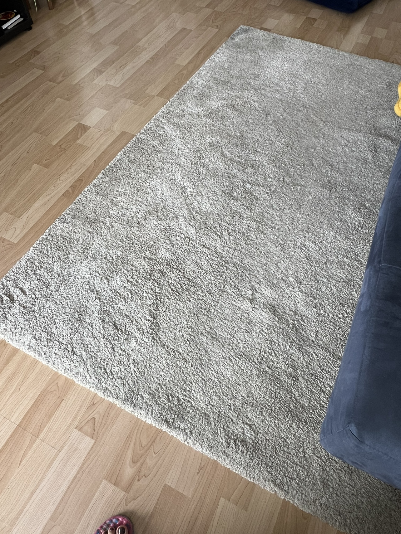 Ikea Rug