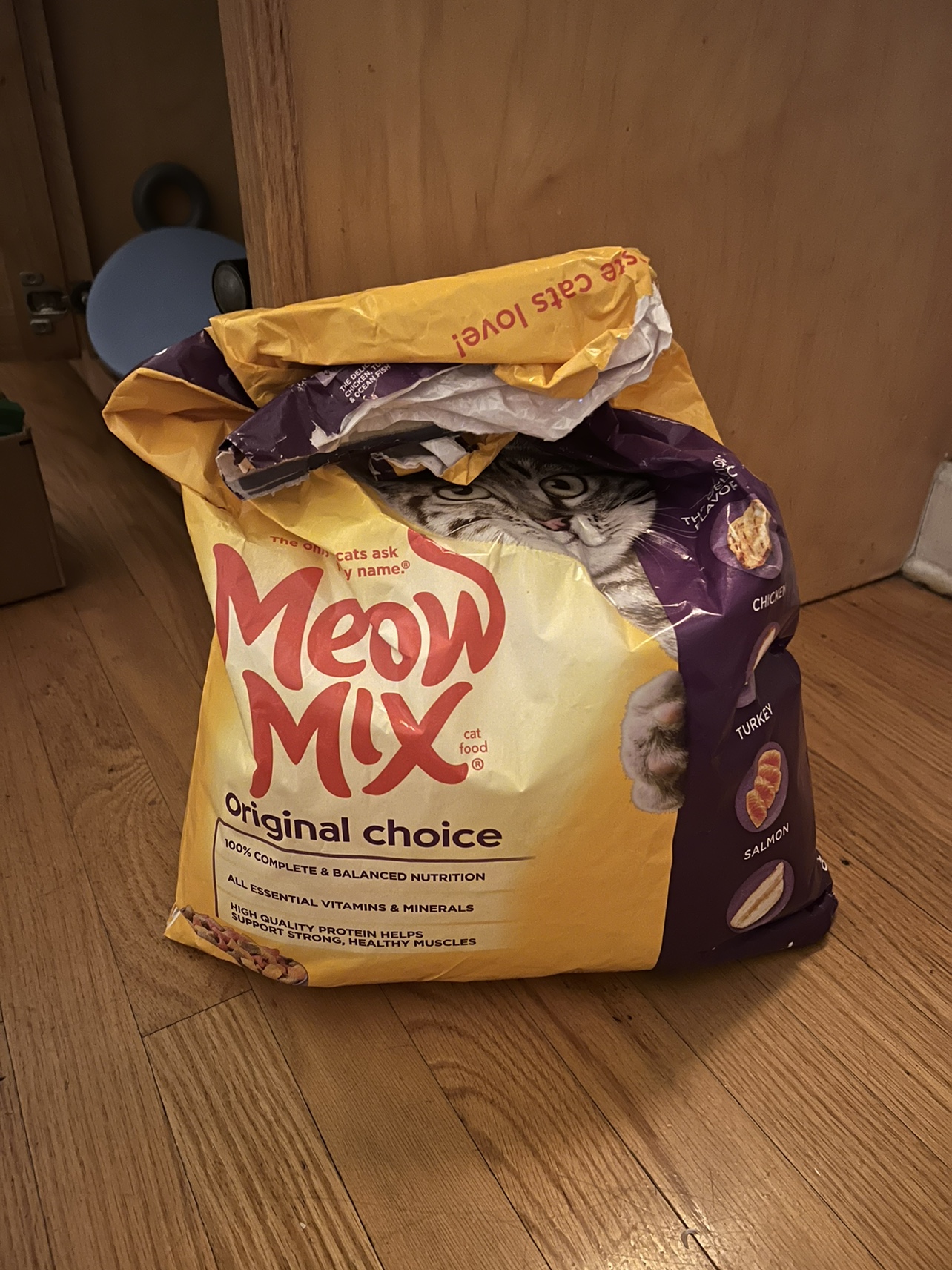Big bag of cat food