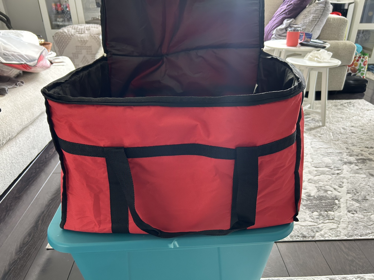Door Dash/Food Delivery Bag - XL image indicator(5)