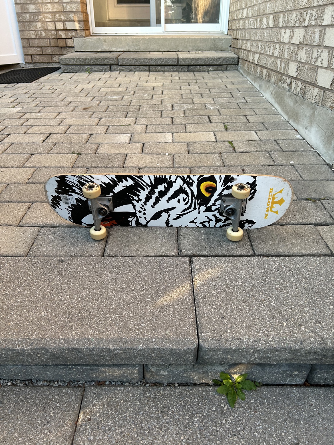 Skateboard - photo 3