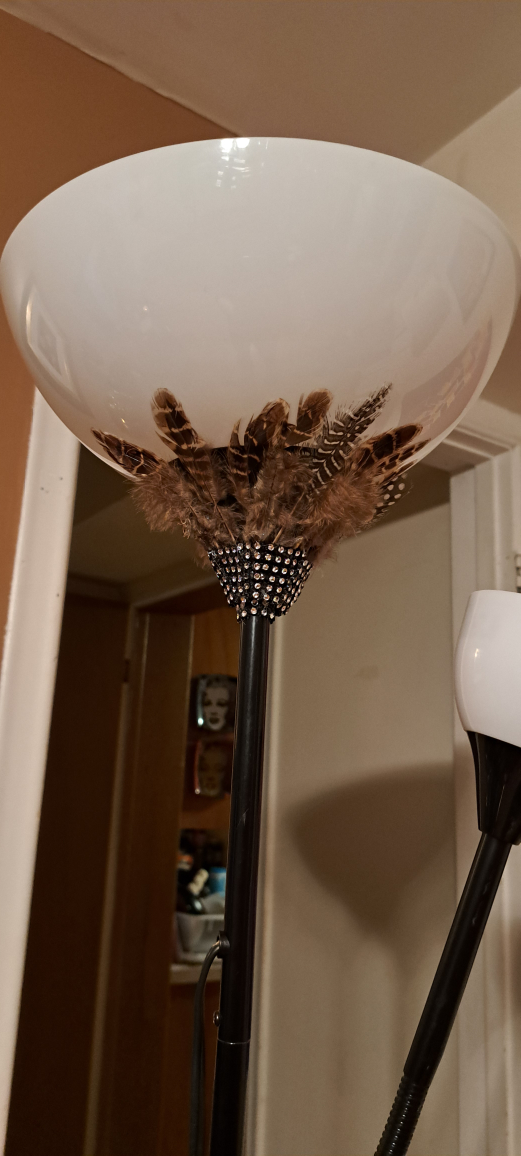 Floor Lamp with reading lamp image indicator(4)